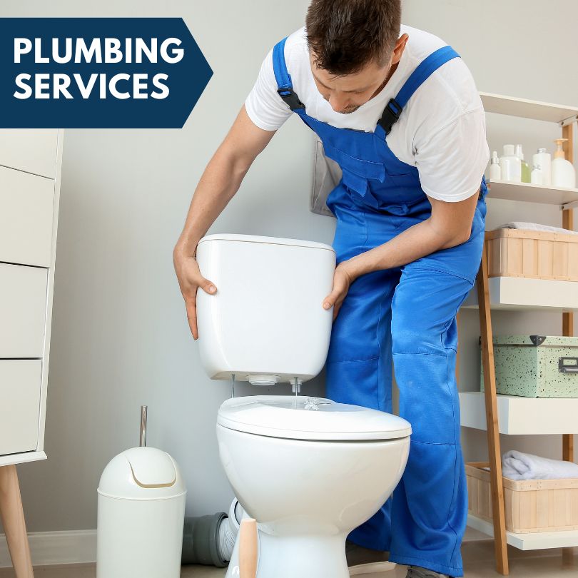 Plumbing Company in Goose Lake, IA